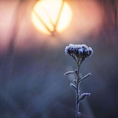 pg电子娱乐官网游戏