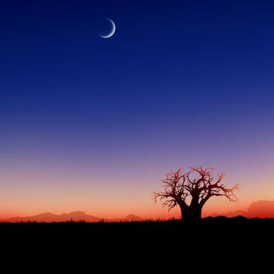 Bsport体育手机在线登录入口截图