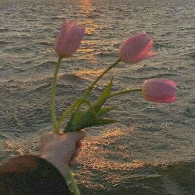 天天中彩票Welcome在线购彩