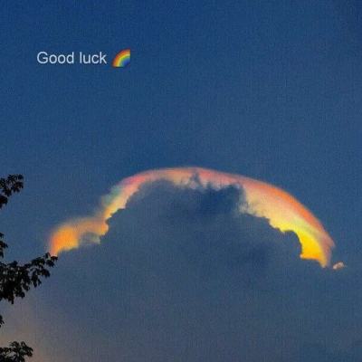 皇冠·app手机app下载