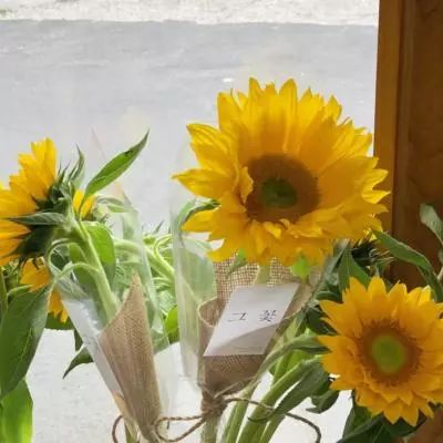 爱游戏下载手机版