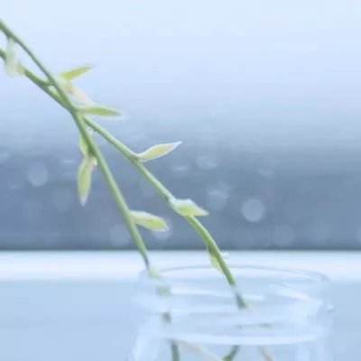 bet体育365官网正规